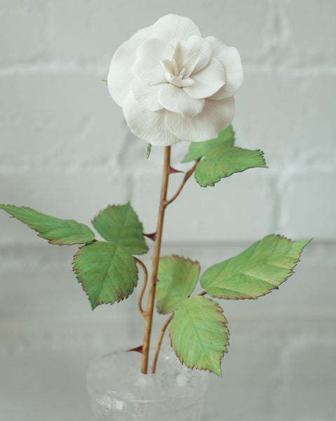 BISCUIT PORCELAIN ROSE IN ROCK CRYSTAL POT