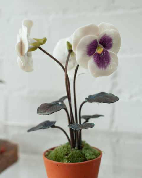 PORCELAIN PURPLE AND WHITE THREE STEM PANSY IN TERRACOTTA POT