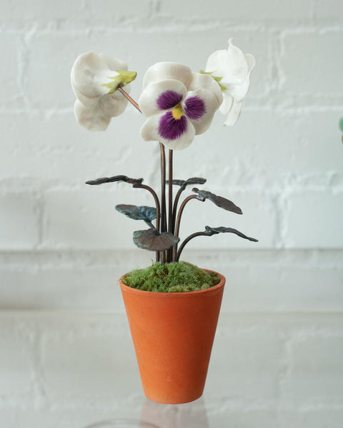 PORCELAIN PURPLE AND WHITE THREE STEM PANSY IN TERRACOTTA POT