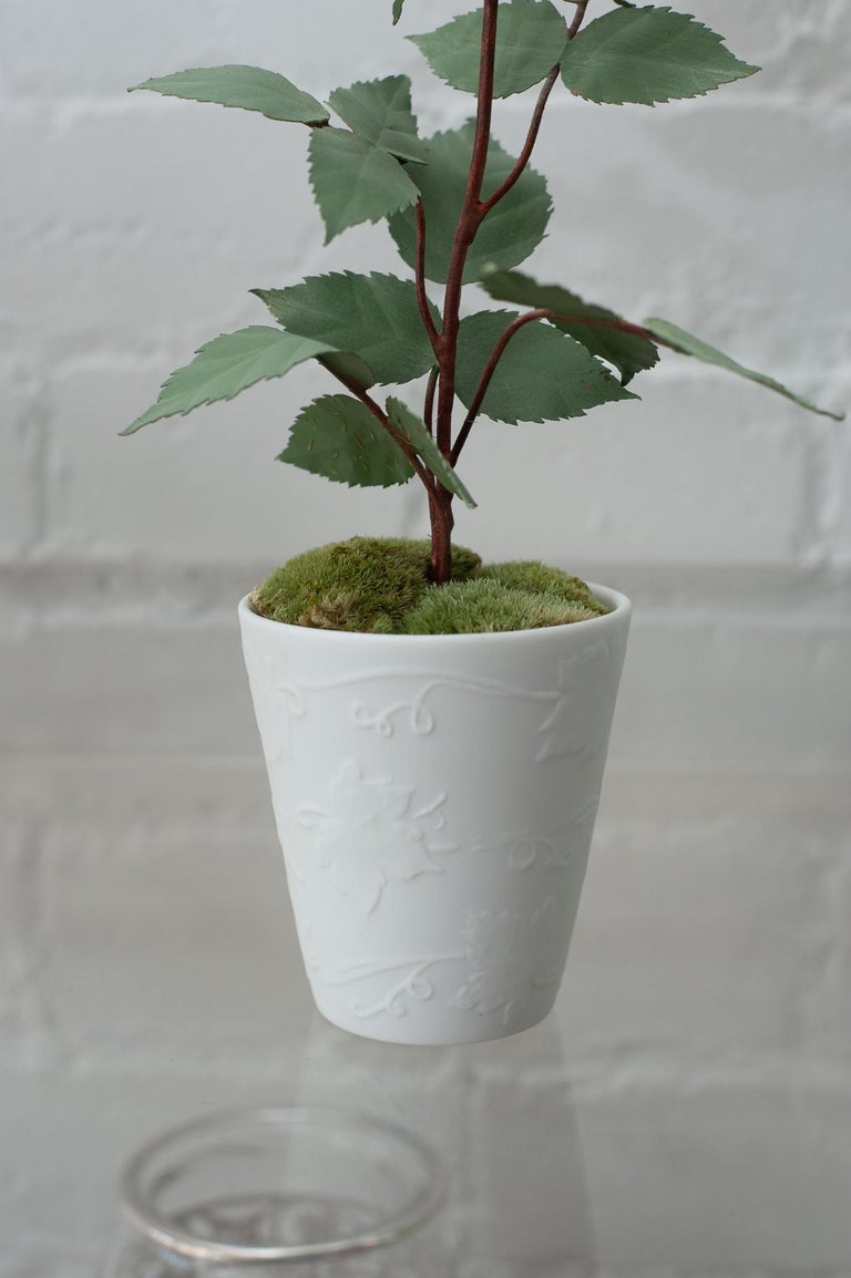 BISCUIT PORCELAIN ROSE IN EMBOSSED BISCUIT POT