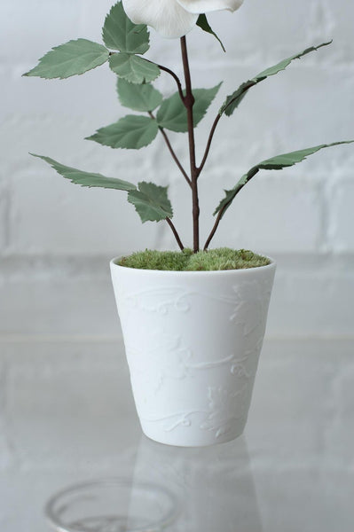 BISCUIT PORCELAIN ROSE IN EMBOSSED BISCUIT POT