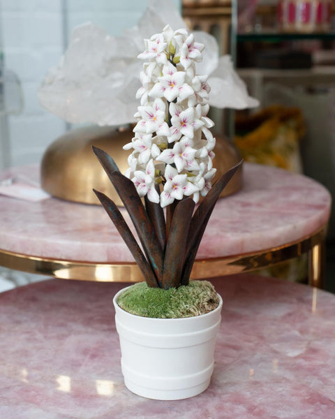 PORCELAIN WHITE AND PINK HYACINTH IN BISCUIT POT