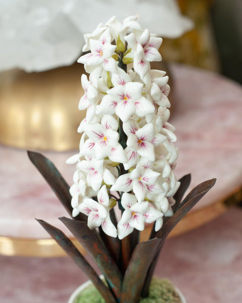 PORCELAIN WHITE AND PINK HYACINTH IN BISCUIT POT