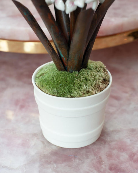 PORCELAIN WHITE AND PINK HYACINTH IN BISCUIT POT