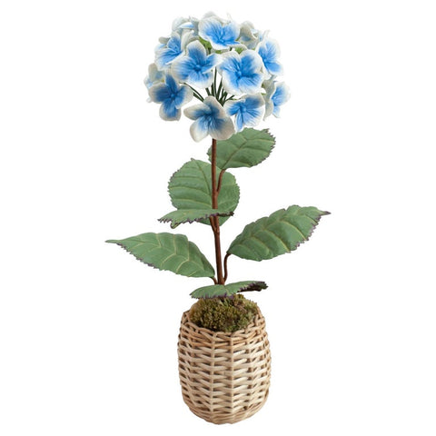 PORCELAIN GLAZED BLUE HYDRANGEA IN A WICKER POT