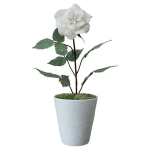 BISCUIT PORCELAIN ROSE IN EMBOSSED BISCUIT POT