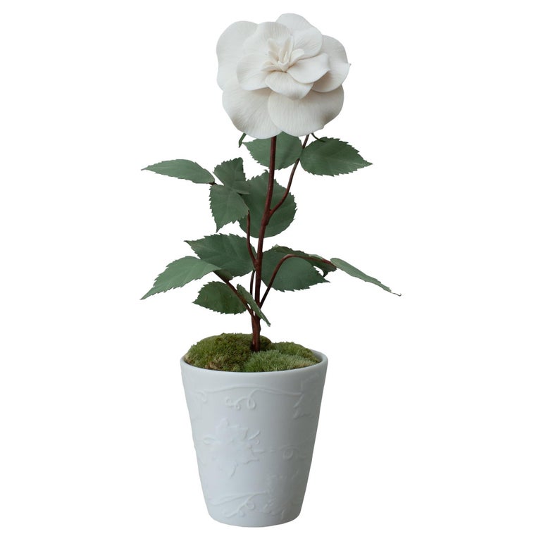 BISCUIT PORCELAIN ROSE IN EMBOSSED BISCUIT POT