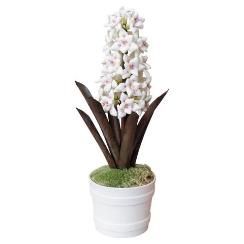 PORCELAIN WHITE AND PINK HYACINTH IN BISCUIT POT