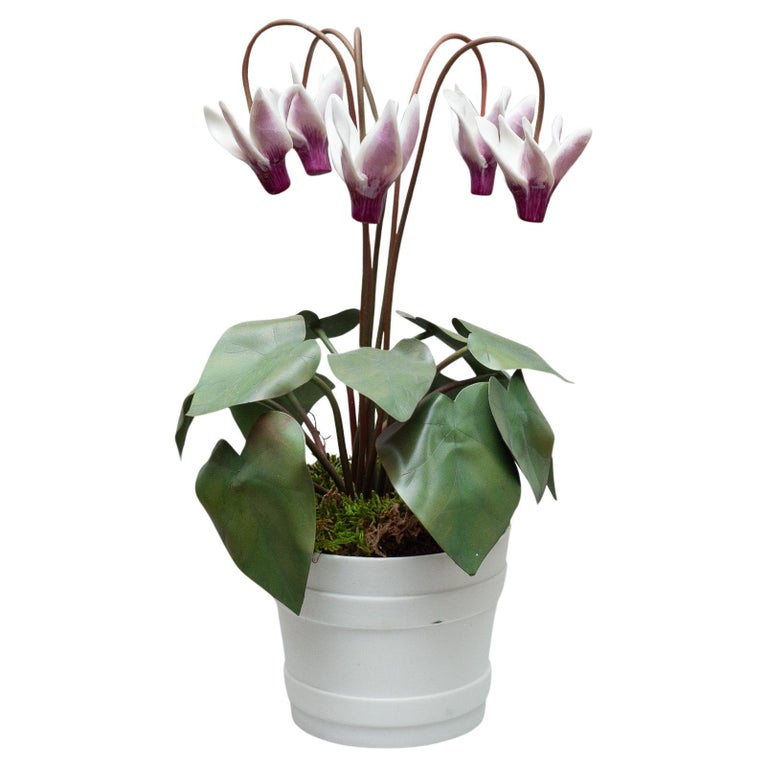 GLAZED WHITE & PINK PORCELAIN CYCLAMEN SCULPTURE