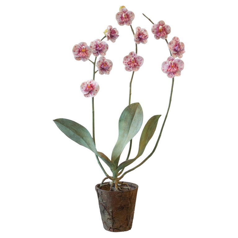 SAMUEL MAZY GLAZED WHITE & PINK PORCELAIN ORCHID WITH BRONZE FAUX BOIS POT