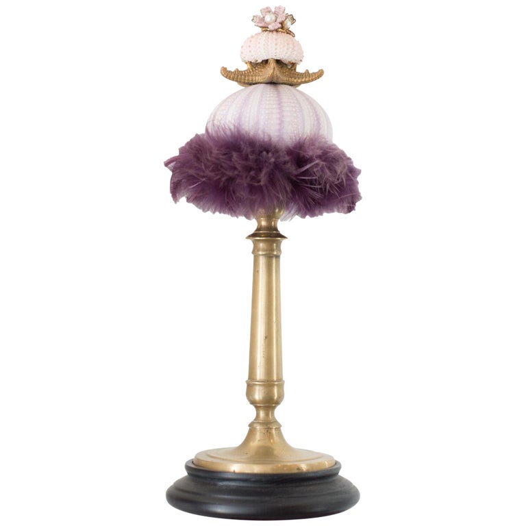 CURIOSITY OBJET WITH SEA URCHIN, VENICE