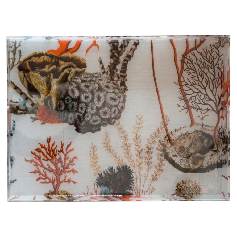 CONTEMPORARY ACRYLIC CORAL TRAY, ITALY