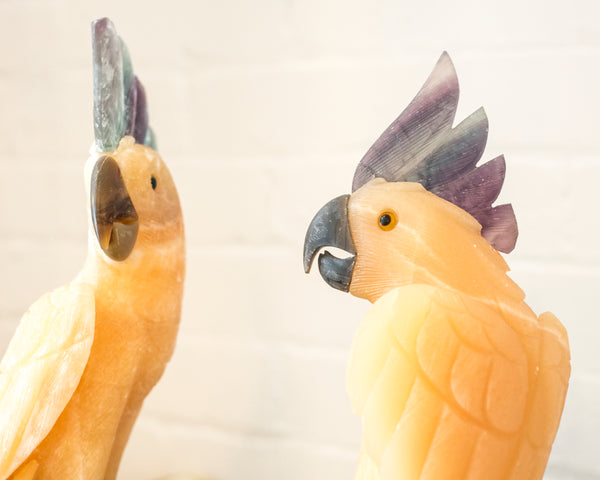 Discover something unique and be inspired by these magnificent hand carved, gold Onyx Cockatoos perched on an Amethyst stone with a custom Studio Maison Nurita brass base. Cockatoos are affectionate birds that are highly sociable and love to be around people. They even more striking in person.