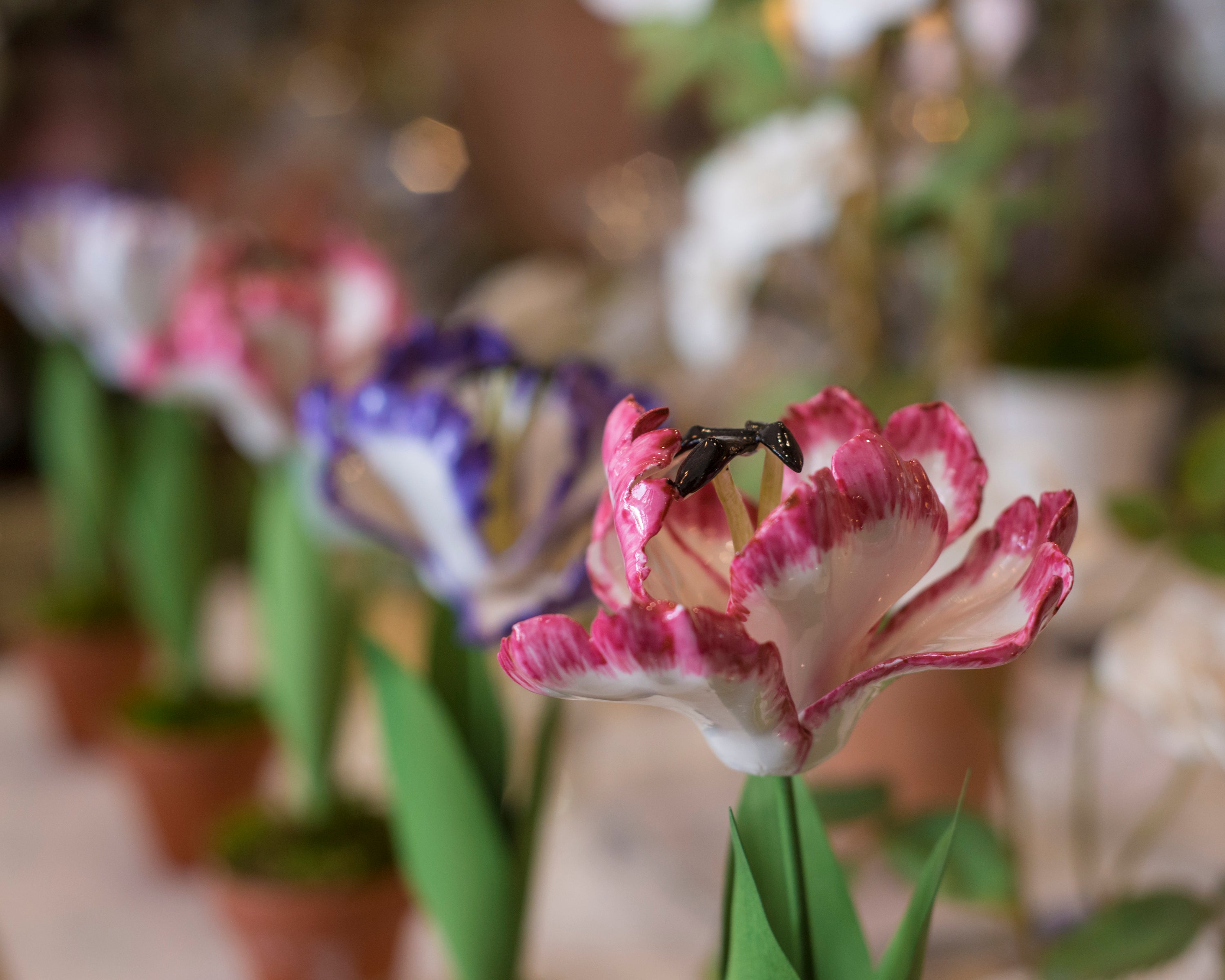 PORCELAIN PINK TULIPS