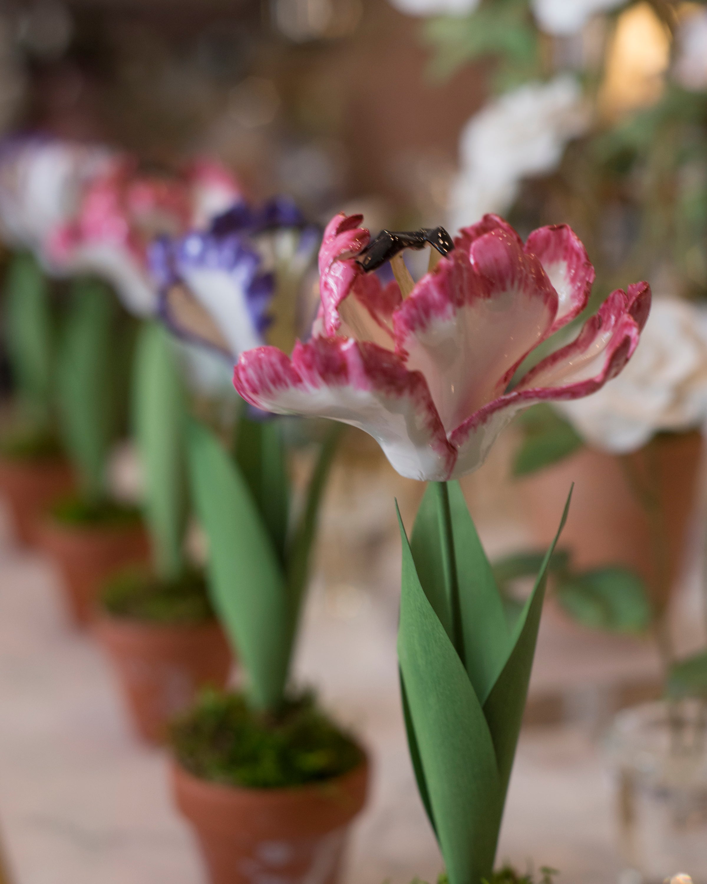 PORCELAIN PINK TULIPS