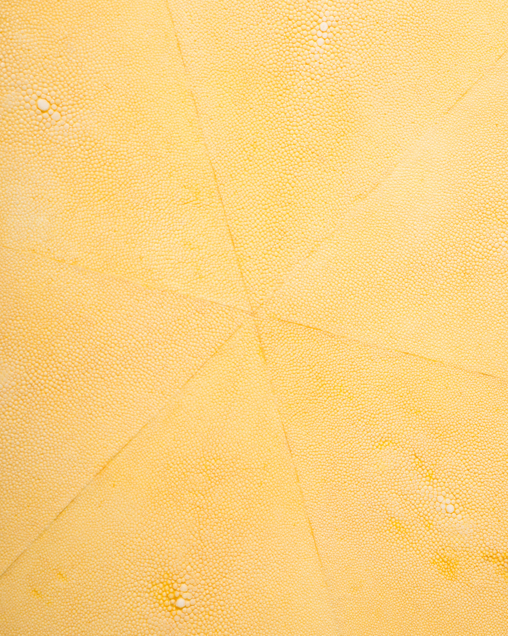 Brighten up your home with this canary yellow Shagreen side table. In a monochromatic world of grey, this table will add that perfect pop of colour that you’ve been looking for.