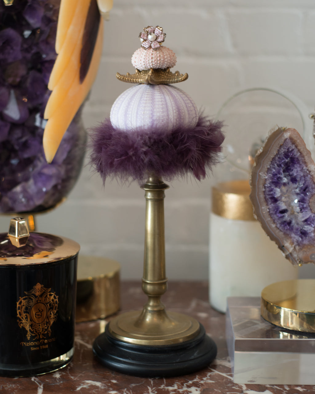 CURIOSITY OBJET WITH SEA URCHIN, VENICE