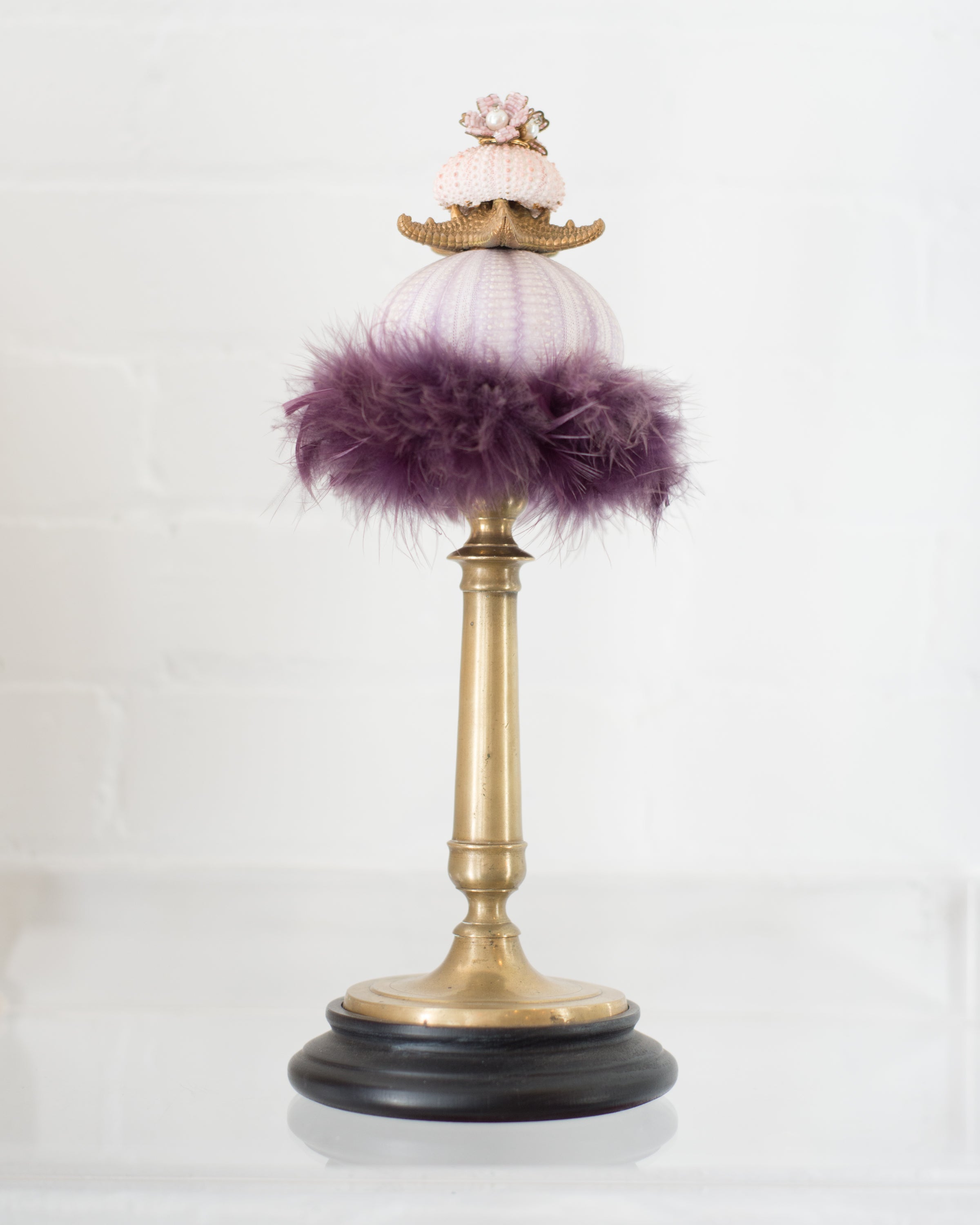 CURIOSITY OBJET WITH SEA URCHIN, VENICE