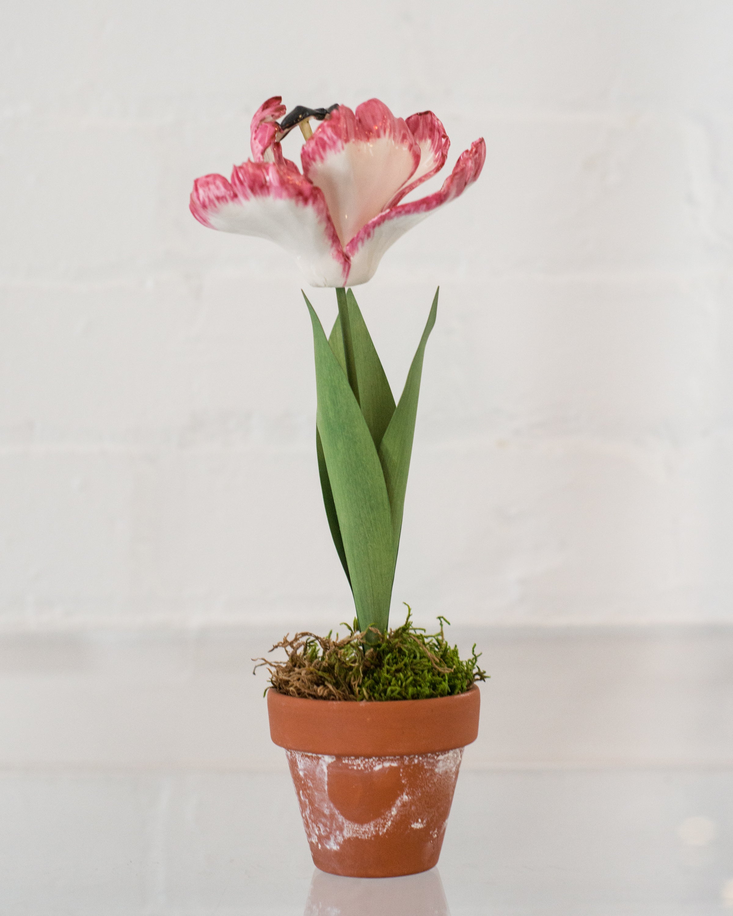 PORCELAIN PINK TULIPS