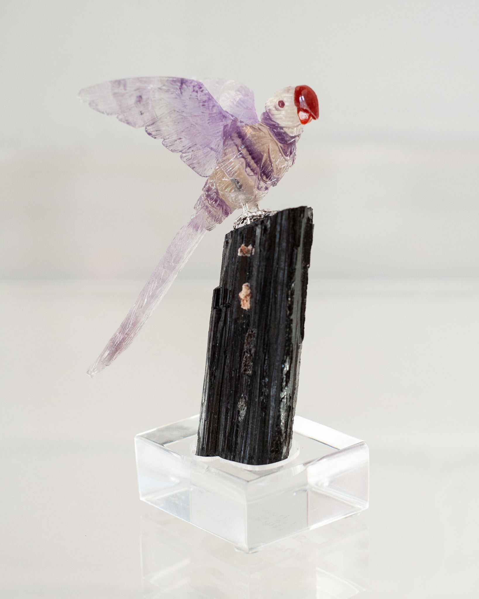 FLUORITE & AMETHYST MACAW ON BLACK TOURMALINE BASE