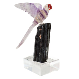 FLUORITE & AMETHYST MACAW ON BLACK TOURMALINE BASE