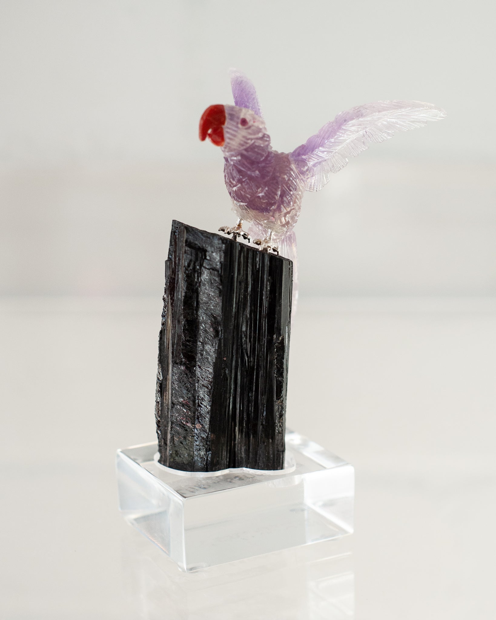 FLUORITE & AMETHYST MACAW ON BLACK TOURMALINE BASE