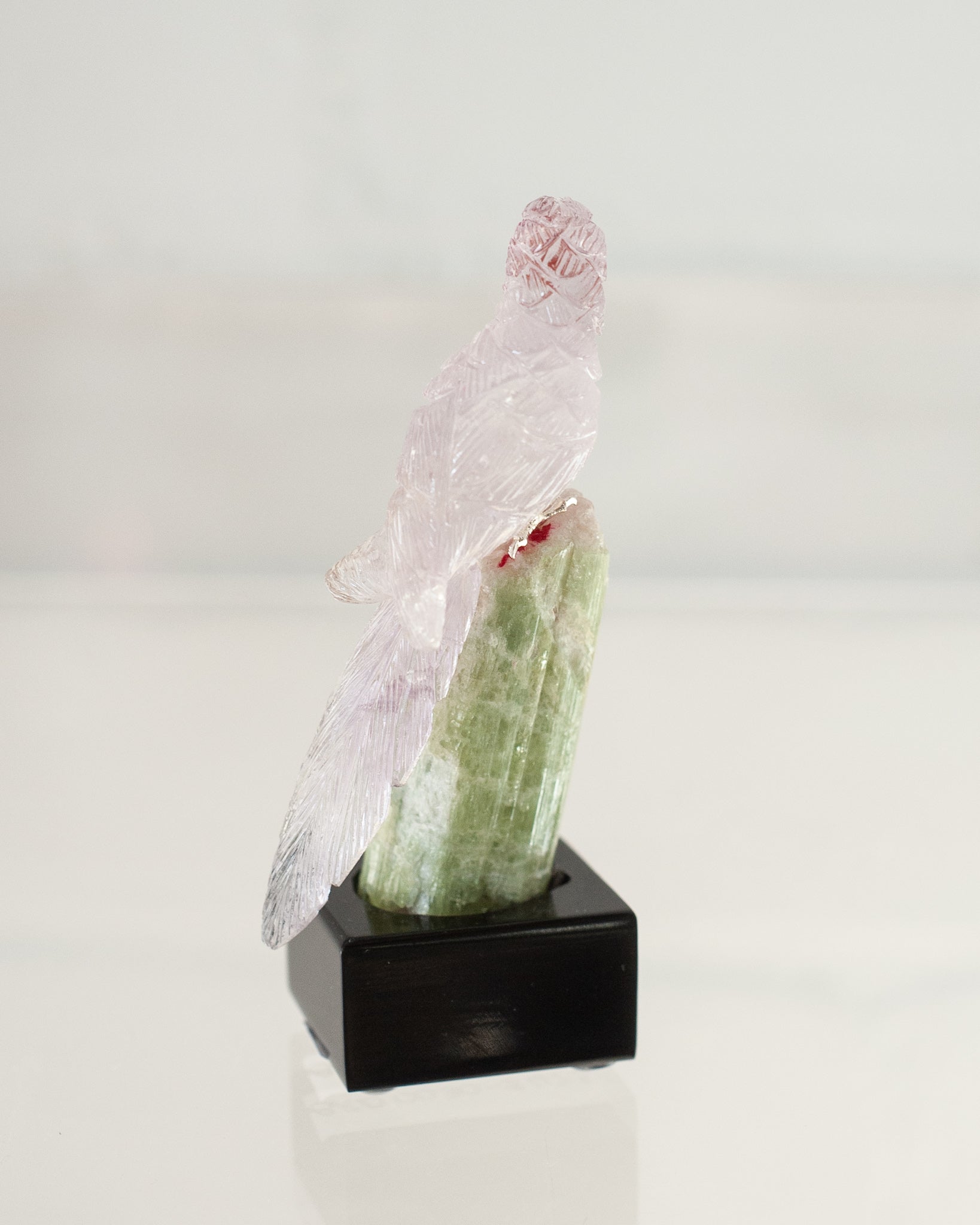 AMETHYST MACAW ON TOURMALINE & QUARTZ BASE