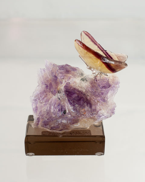 FLUORITE BUTTERFLY ON AMETHYST BASE