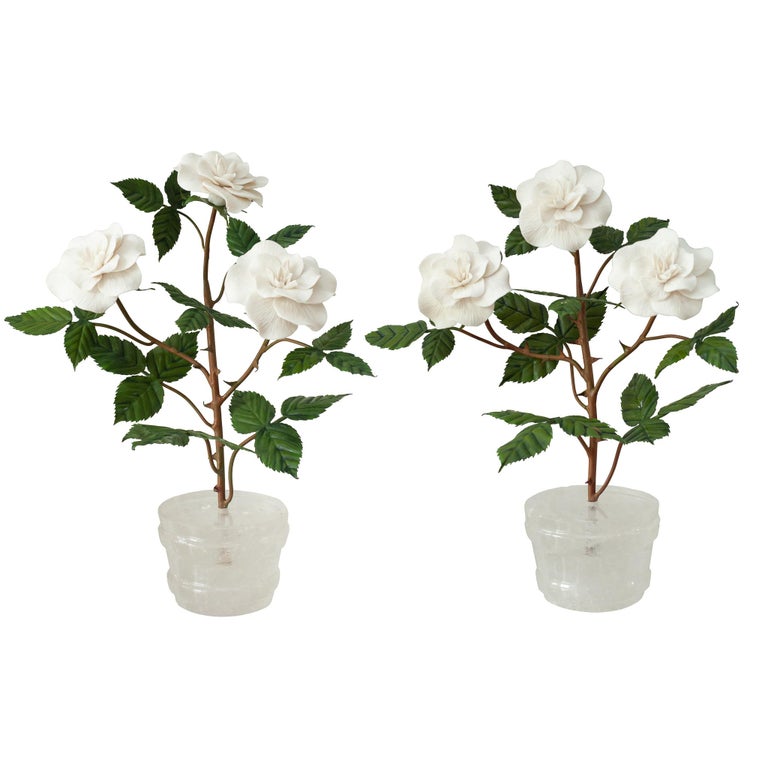 PAIR OF WHITE BISCUIT ROSE BUSHES IN ROCK CRYSTAL POTS