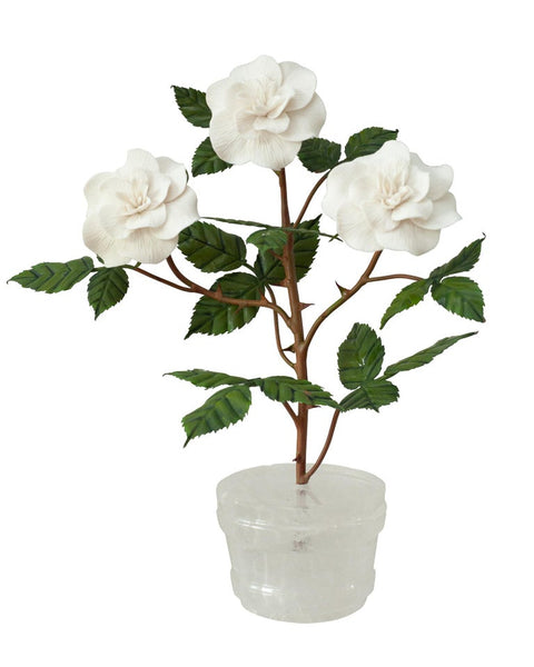 PAIR OF WHITE BISCUIT ROSE BUSHES IN ROCK CRYSTAL POTS