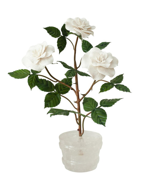 PAIR OF WHITE BISCUIT ROSE BUSHES IN ROCK CRYSTAL POTS
