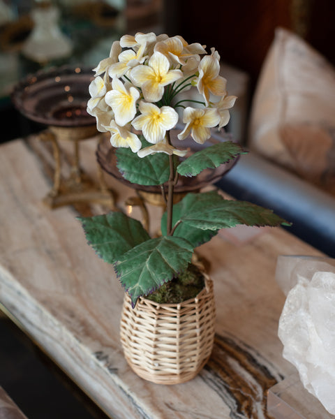 PORCELAIN GLAZED YELLOW HYDRANGEA IN A WICKER POT