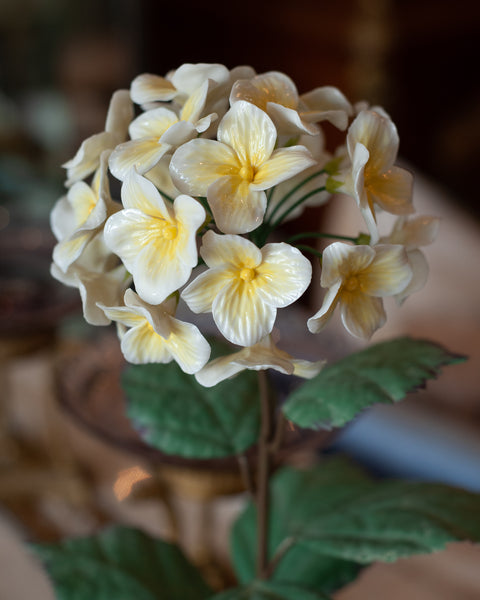 PORCELAIN GLAZED YELLOW HYDRANGEA IN A WICKER POT