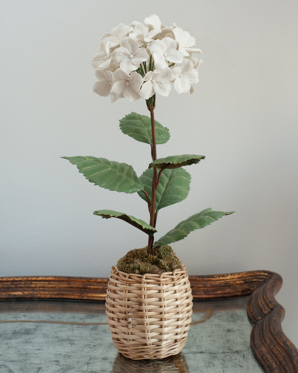 PORCELAIN WHITE BISCUIT HYDRANGEA IN A WICKER POT