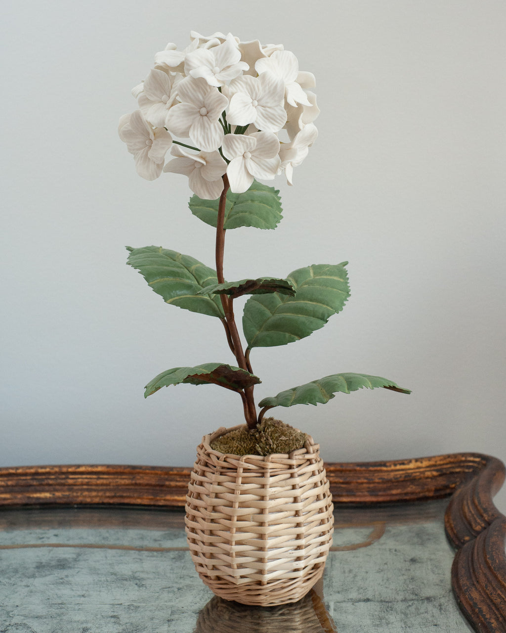 PORCELAIN WHITE BISCUIT HYDRANGEA IN A WICKER POT