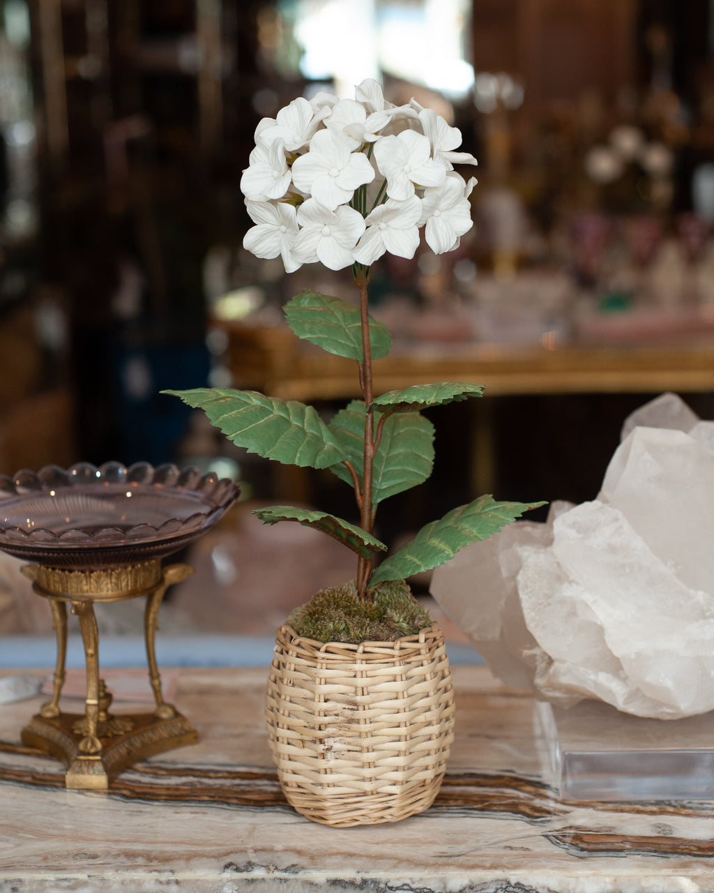 PORCELAIN WHITE BISCUIT HYDRANGEA IN A WICKER POT