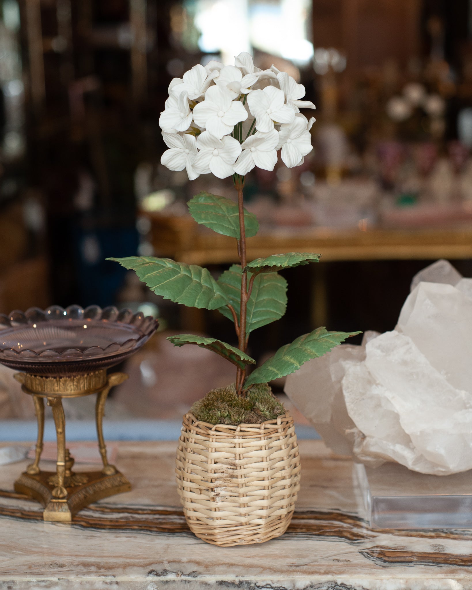 PORCELAIN WHITE BISCUIT HYDRANGEA IN A WICKER POT