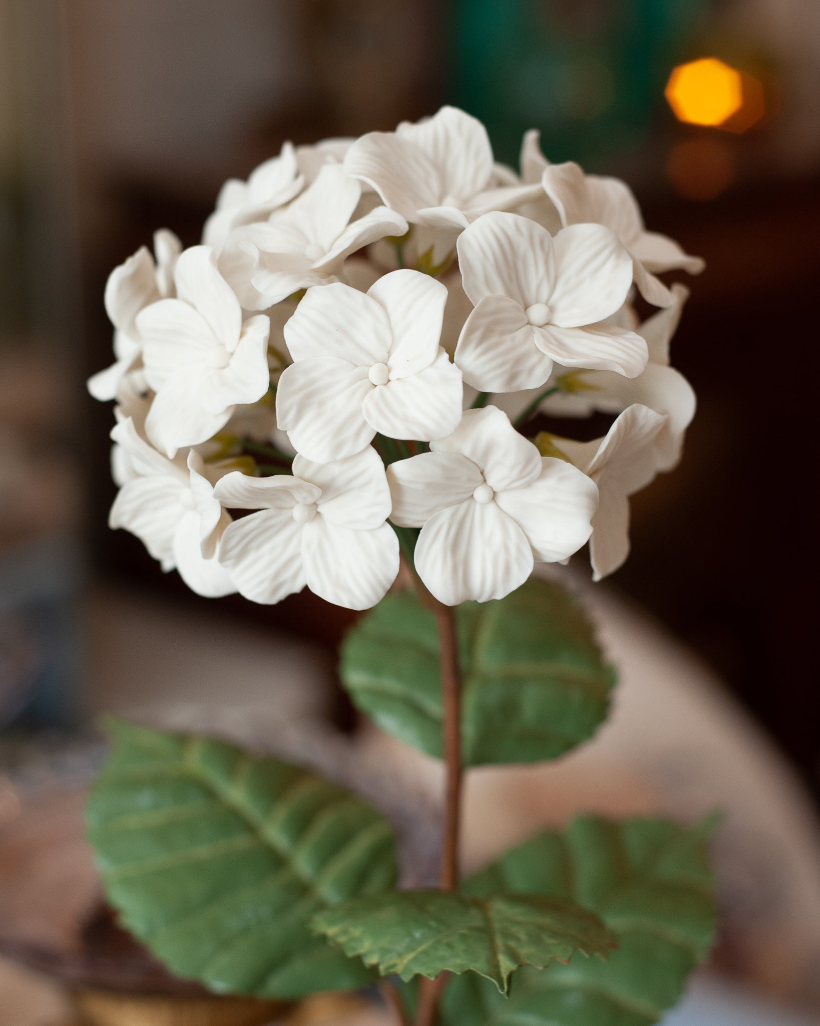 PORCELAIN WHITE BISCUIT HYDRANGEA IN A WICKER POT
