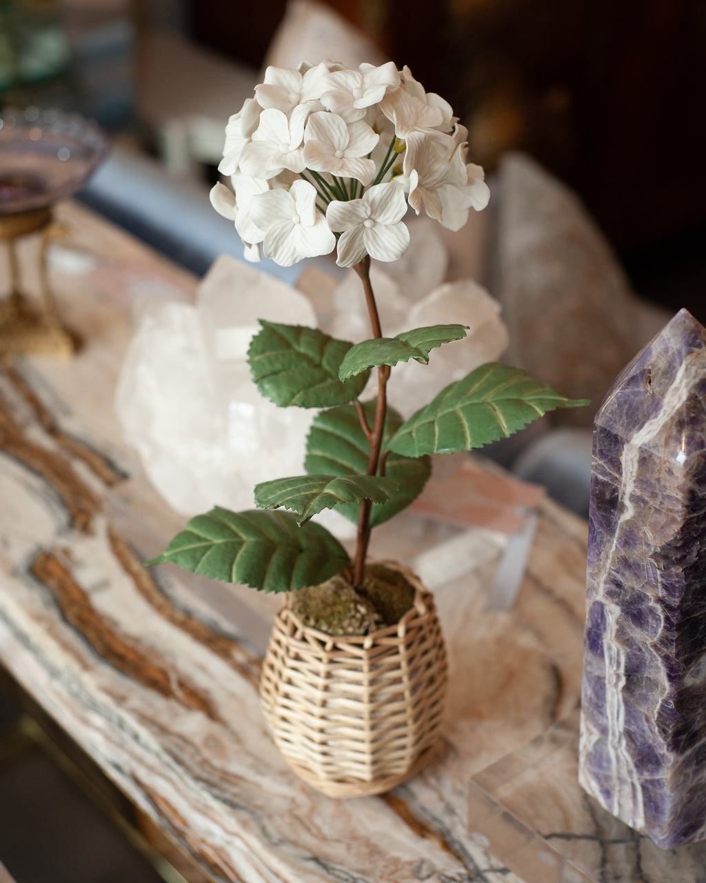 PORCELAIN WHITE BISCUIT HYDRANGEA IN A WICKER POT