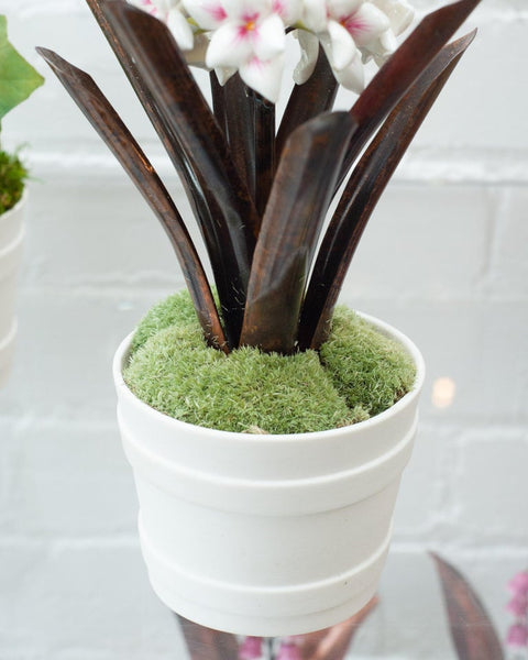 PORCELAIN WHITE AND PINK HYACINTH IN BISCUIT POT