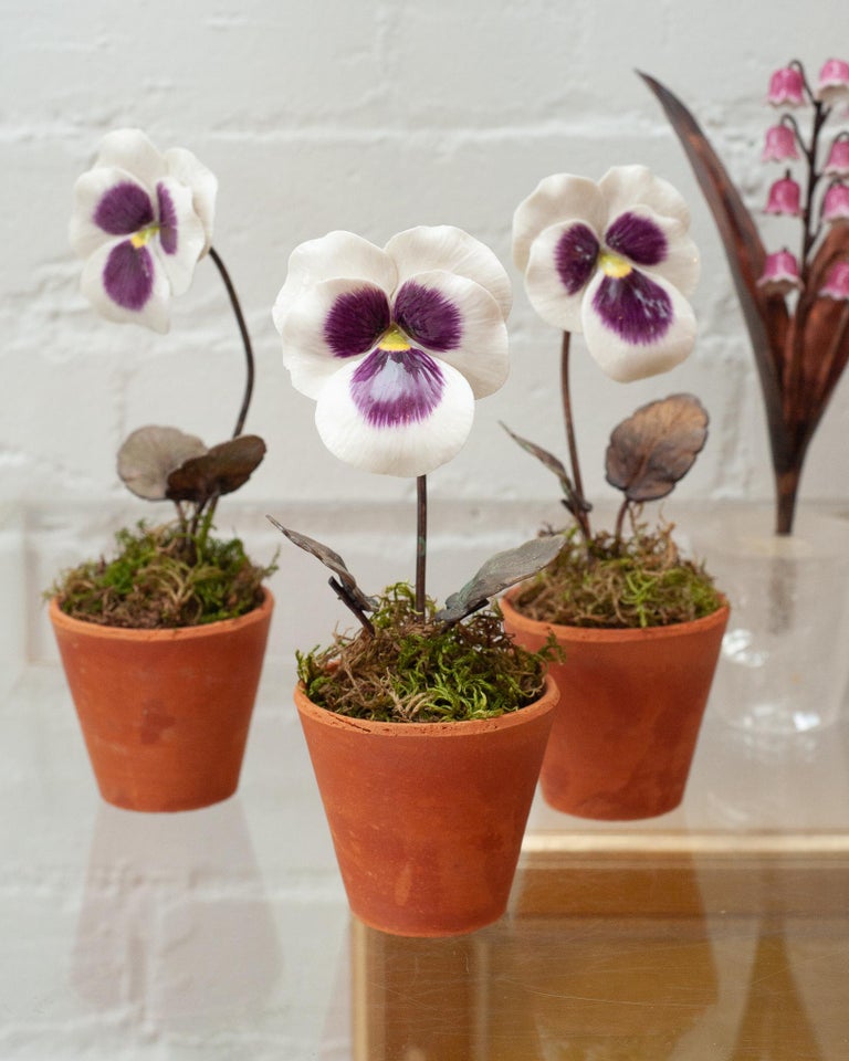 PORCELAIN PURPLE AND WHITE PANSY IN TERRACOTTA POT