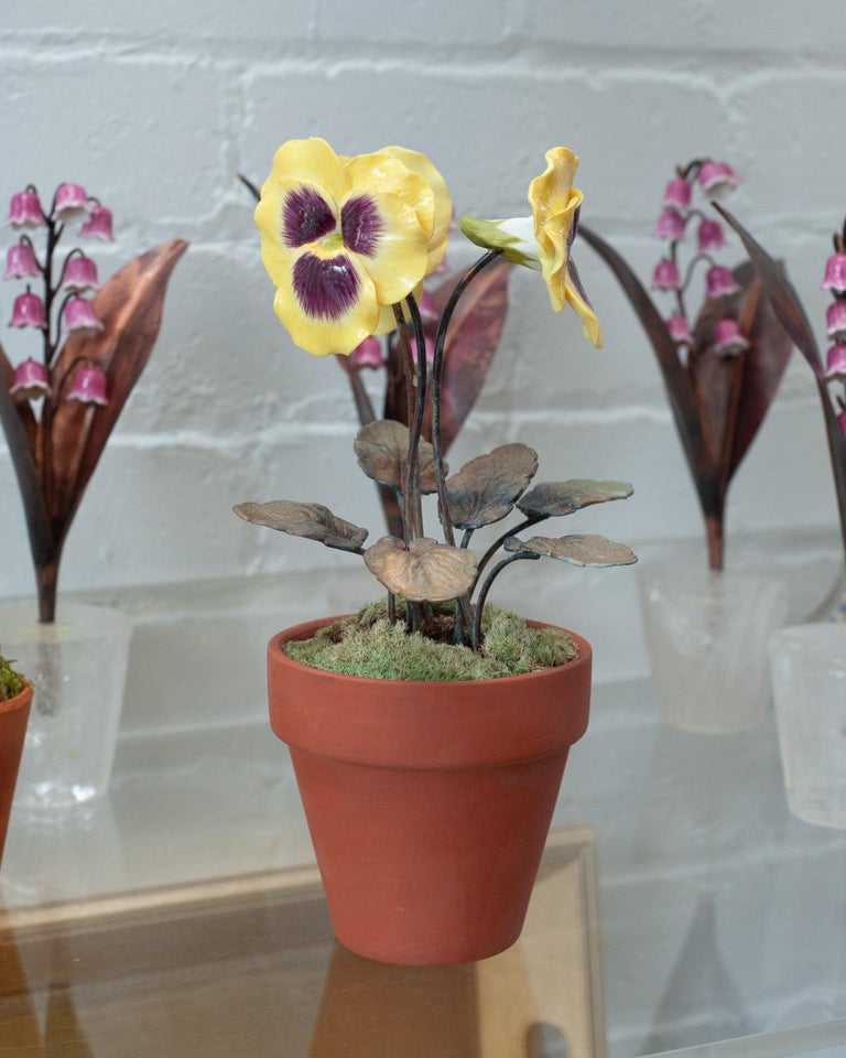 PORCELAIN PURPLE AND YELLOW THREE STEM PANSY IN TERRACOTTA POT