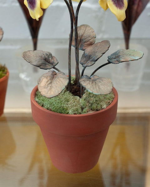 PORCELAIN PURPLE AND YELLOW THREE STEM PANSY IN TERRACOTTA POT