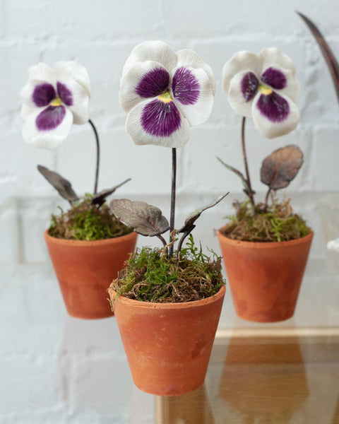 PORCELAIN PURPLE AND WHITE PANSY IN TERRACOTTA POT