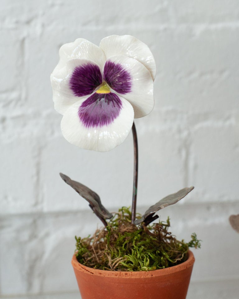 PORCELAIN PURPLE AND WHITE PANSY IN TERRACOTTA POT
