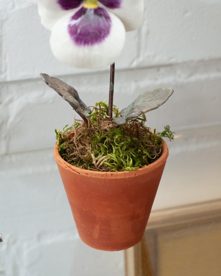 PORCELAIN PURPLE AND WHITE PANSY IN TERRACOTTA POT