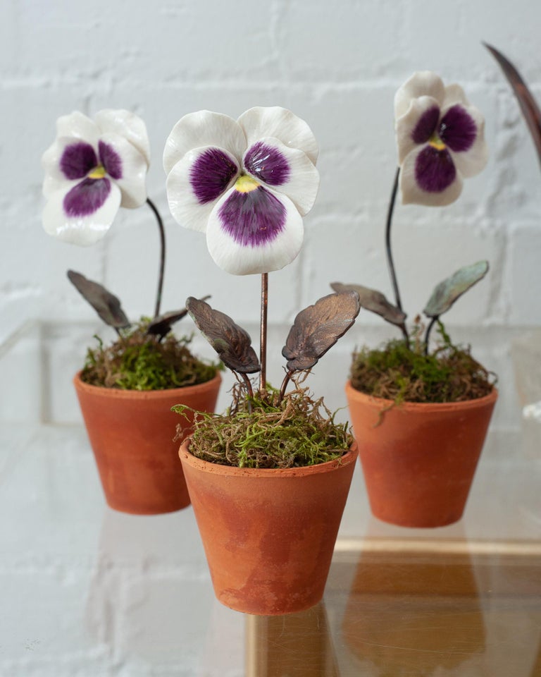 PORCELAIN PURPLE AND WHITE PANSY IN TERRACOTTA POT