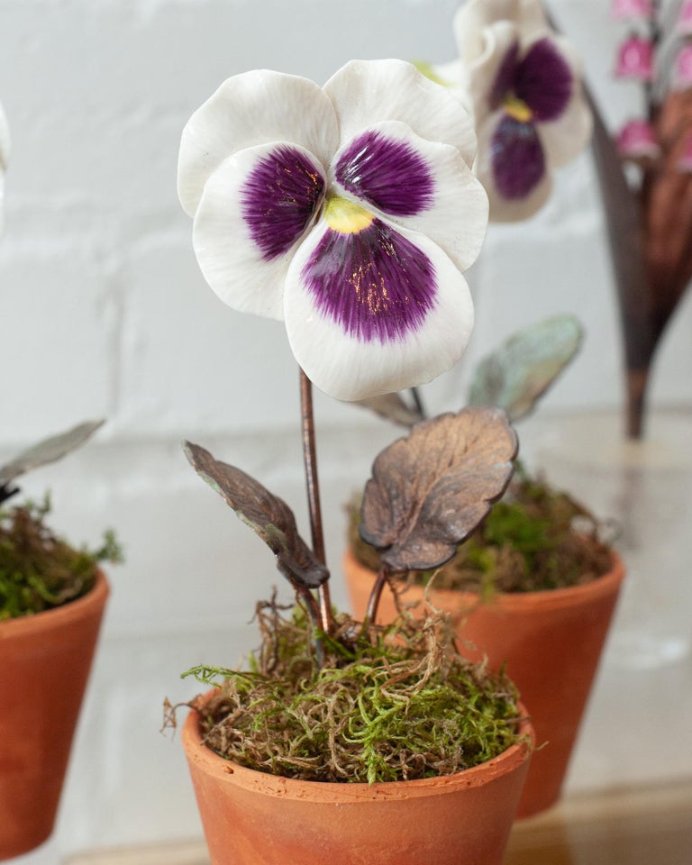 PORCELAIN PURPLE AND WHITE PANSY IN TERRACOTTA POT