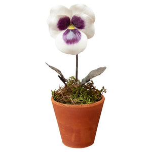 PORCELAIN PURPLE AND WHITE PANSY IN TERRACOTTA POT