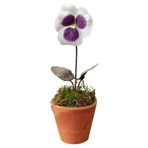 PORCELAIN PURPLE AND WHITE PANSY IN TERRACOTTA POT